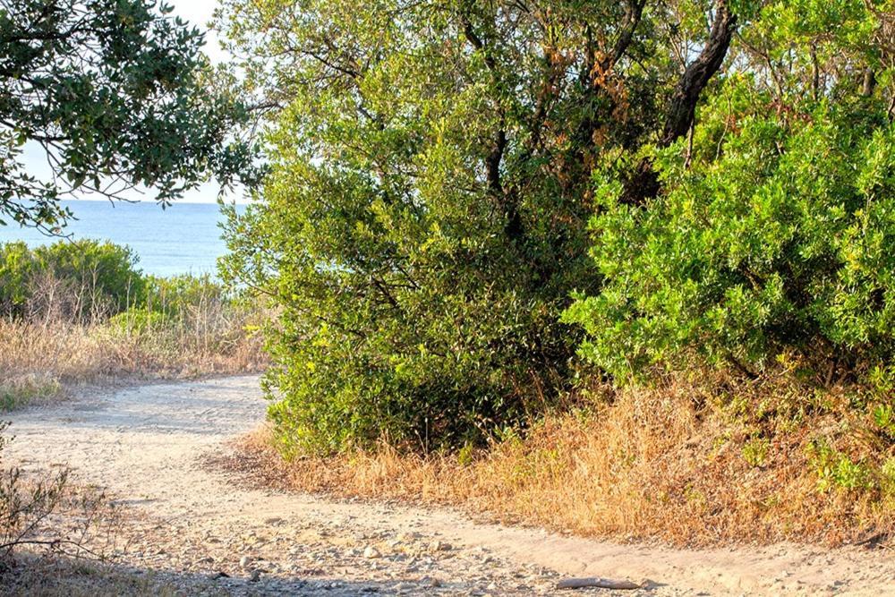 Bagheera Village Naturiste Linguizzetta Bagian luar foto
